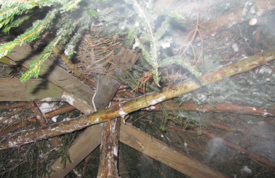 IMG_1361 IMG_1361