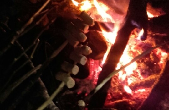 IMG-20160516-WA0014 IMG-20160516-WA0014